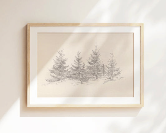 Cedars of Christmas - print