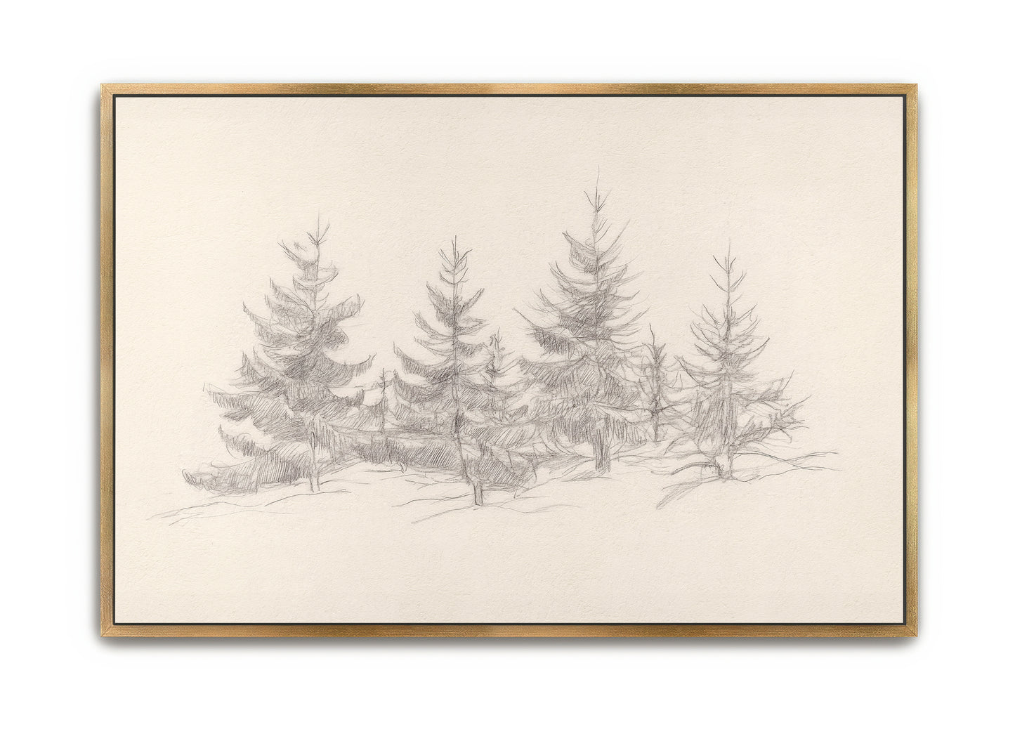cedars of christmas - canvas
