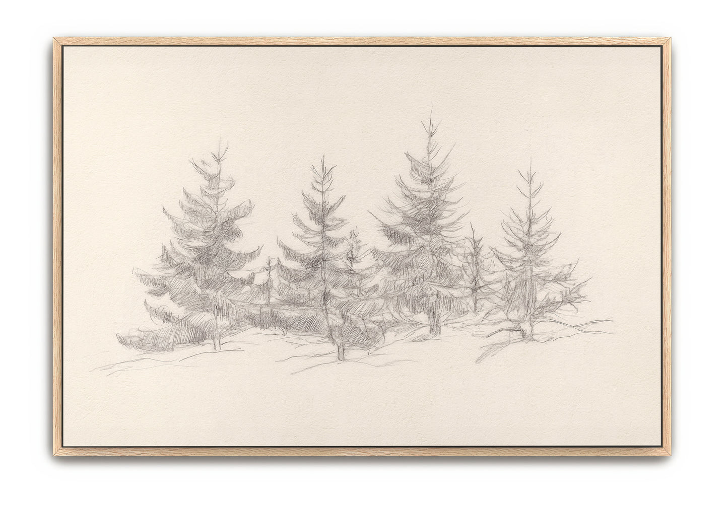 cedars of christmas - canvas