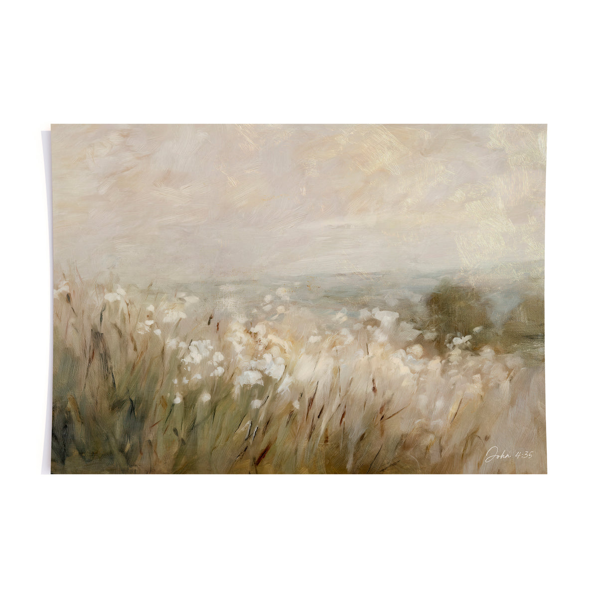 white for harvest - print