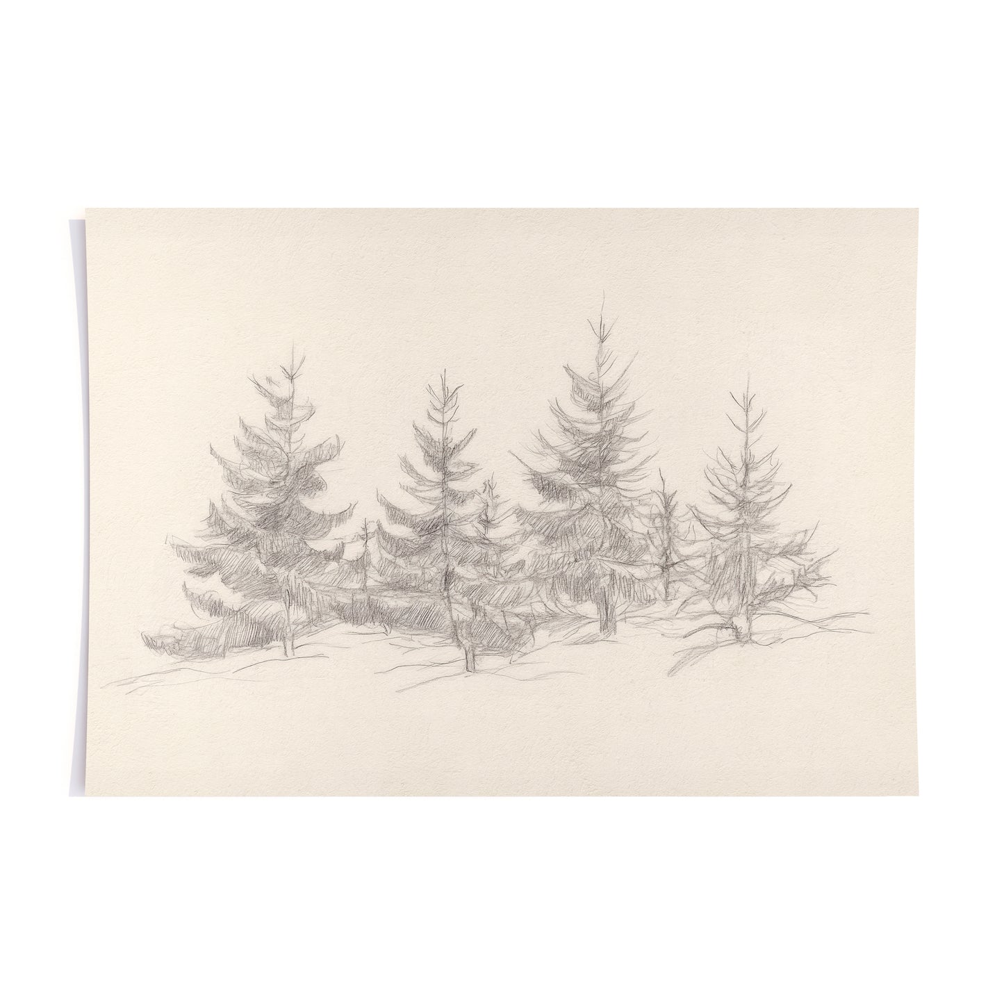 cedars of christmas - print