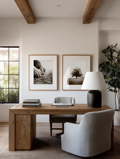 Mustard Seed - set of prints
