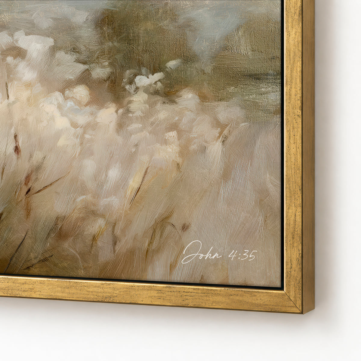 white for harvest  - canvas