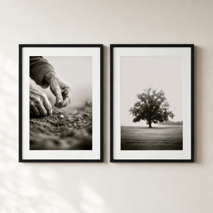 Mustard Seed - set of prints