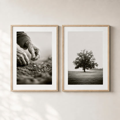 Mustard Seed - set of prints